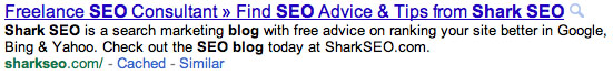 Shark SEO Blog Snippet