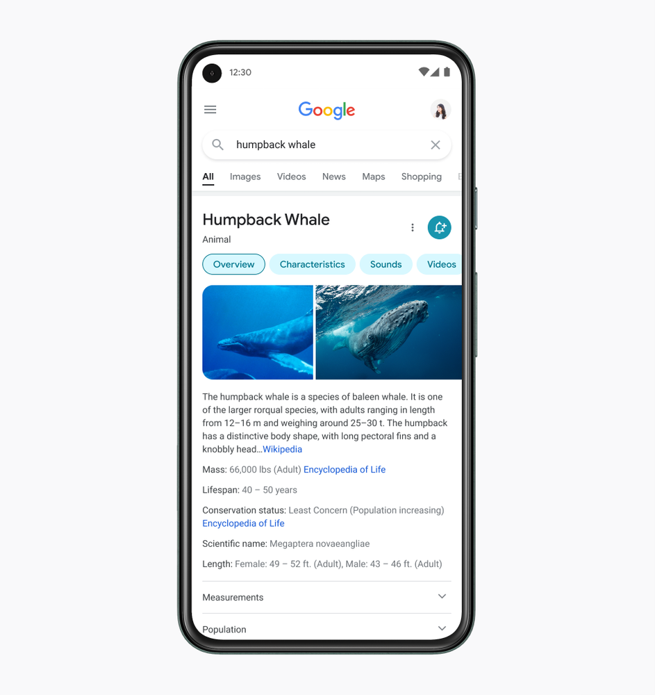 Image showing a mock-up of a Pixel phone with Google Search pulled up on the screen. The search results show answers about Humpback whales, including two images.