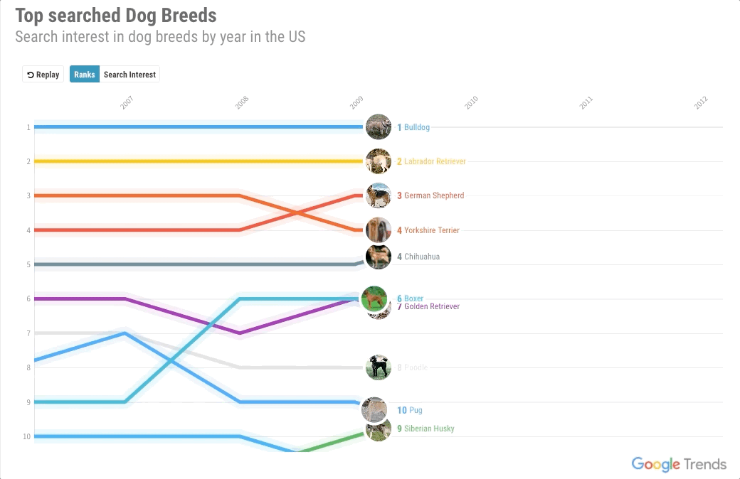 Graph showing search interest in different dog breeds.