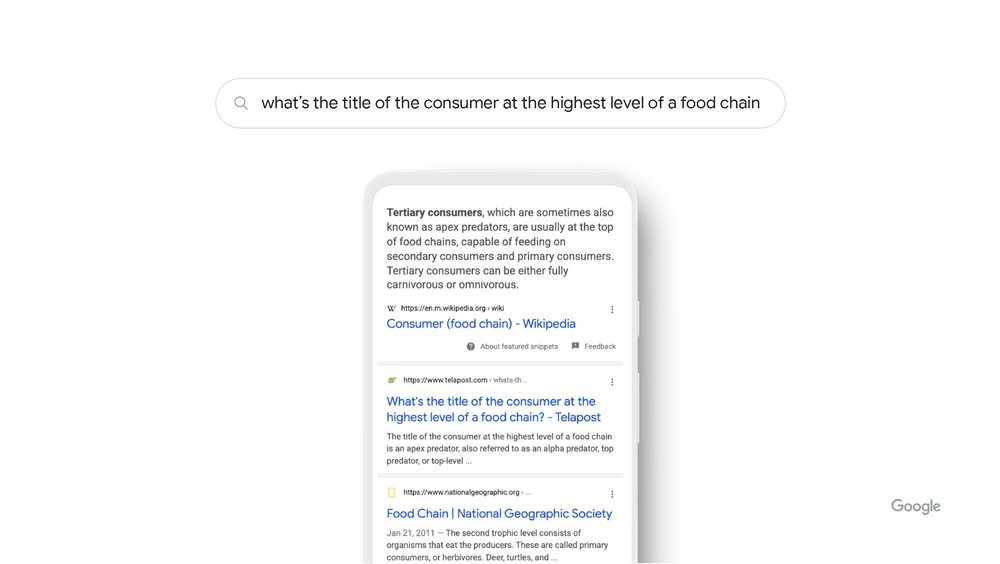 Search bar with the query “what’s the title of the consumer at the highest level of a food chain,” and a mobile view of a featured snippet for “apex predator.”