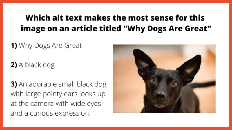 An alt text exercise titled “Which alt text makes the most sense for this image in an article titled ‘Why Dogs Are Great’”. The three options are 1) Why Dogs Are Great, 2) A black dog, and 3) An adorable small black dog with large pointy ears looking up at the camera with wide eyes and a curious expression.