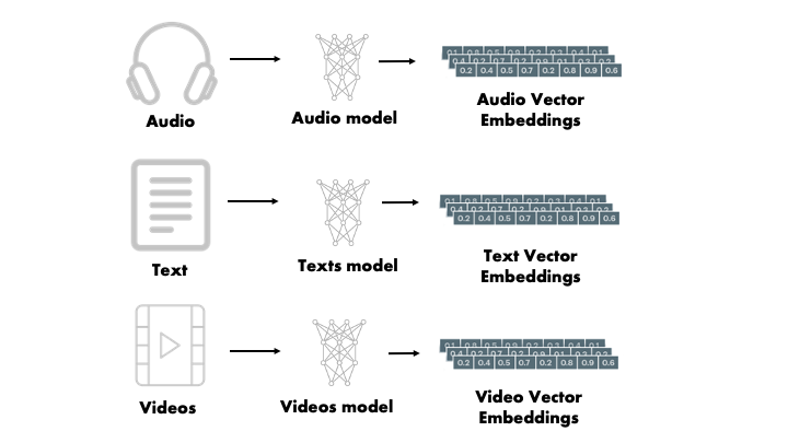 Different types of vector embeddings